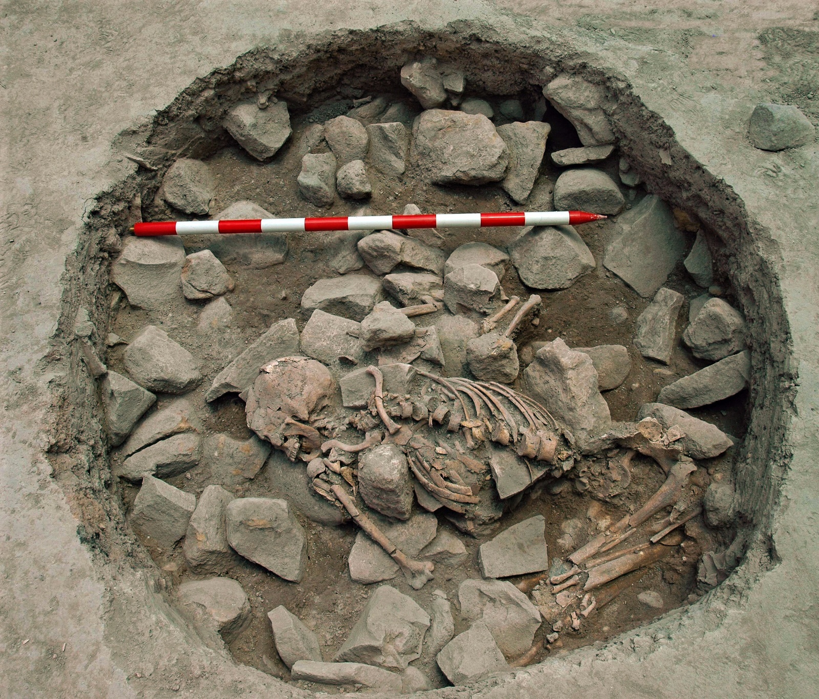 3 ExcavaciÃ³n (Tumba III Milenio BC) 2007